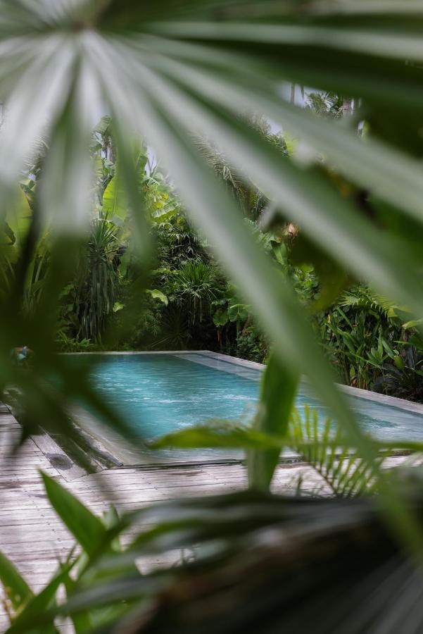 ג'נרל לונה Surfing Temple Hotel Boutique מראה חיצוני תמונה